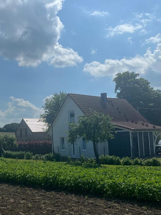 Ferienhaus Muschel Kalkhorst Exteriör bild